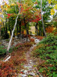 Photo of the Mid State Trail